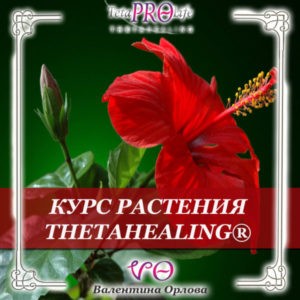 Растения тета хилинг