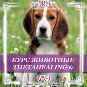 Животные тета хилинг